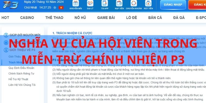 Một vài trách nhiệm của người dùng trong chính sách của P3